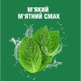 Ополіскувач для порожнини рота Listerine Total Care Захист ясен 250 мл (3574661397719/3574661397641)