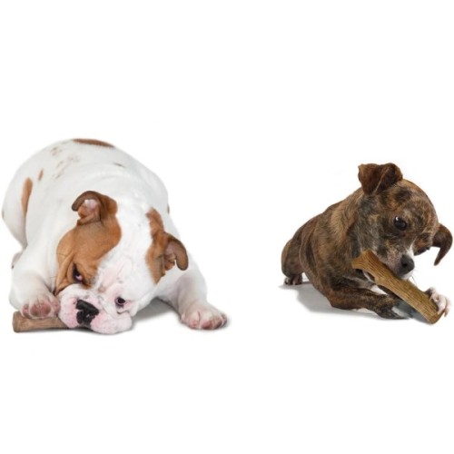 Іграшка для собак Petstages Dogwood Stick "Міцна гілка" 13.5 см (0871864002178)