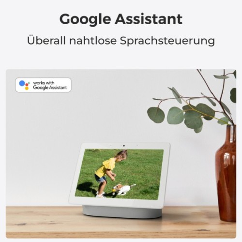 Камера відеоспостереження Reolink E320 (E1) (E320)