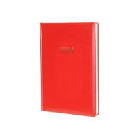Тижневик Economix датований 2024 Spectrum, червоний А5 (E21849)