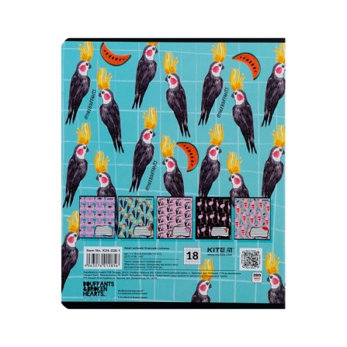 Зошит Kite BBH 18 аркушів, клітинка (K24-236-1)