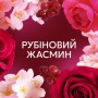 Кондиціонер для білизни Lenor Рубіновий жасмин 1.239 л (8700216724616)