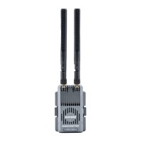 Передавач (TX) RadioMaster Nomad Dual 1-watt Gemini Xrossband ExpressLRS Module (N-4)