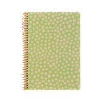 Блокнот Axent на спіралі А5 80 аркушів, клітинка, пластикова обкладинка, салатовий (8462-1-A)