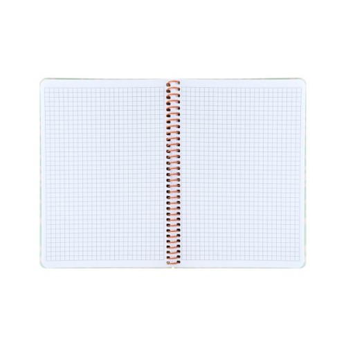 Блокнот Axent на спіралі А5 80 аркушів, клітинка, пластикова обкладинка, салатовий (8462-1-A)