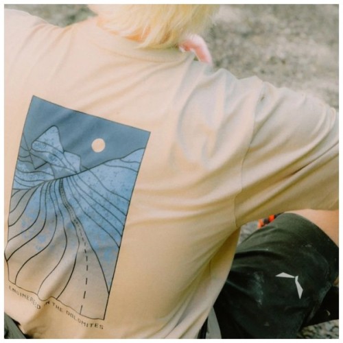 Футболка Salewa Eagle Sunset Loose T-Shirt Mns 29150 7180 - 52/XL - бежевий (013.012.1323)