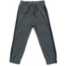 Штани дитячі Breeze з лампасами (14889-134B-blue)