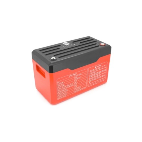 Батарея LiFePo4 Dyness 25,6V 100Ah (100/100A) (Eco-Worthy-251004)