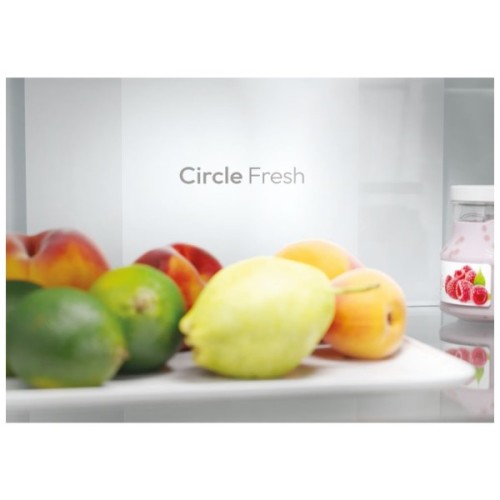 Холодильник Candy CNCQ2T618EB