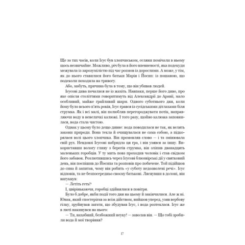 Книга Єресь. Ісус Христос та інші сини божі - Кетрін Ніксі BookChef (9786175484708)