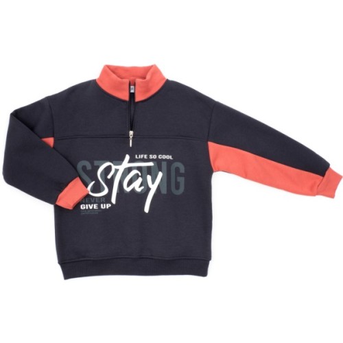 Спортивний костюм дитячий Smile на флісі (4225-128B-gray)