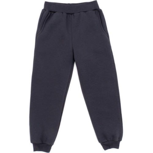 Спортивний костюм дитячий Smile на флісі (4225-128B-gray)