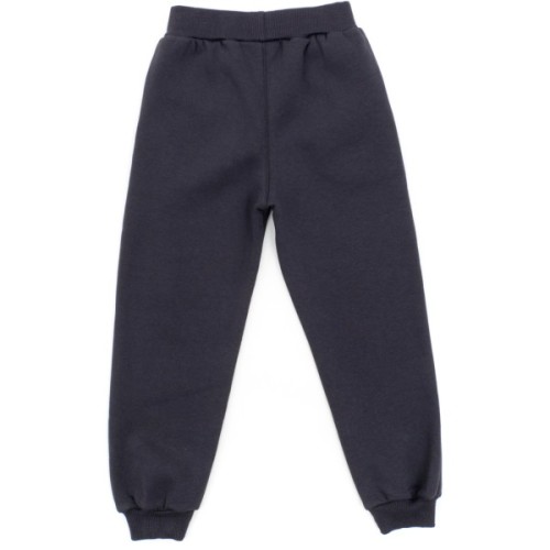 Спортивний костюм дитячий Smile на флісі (4225-128B-gray)