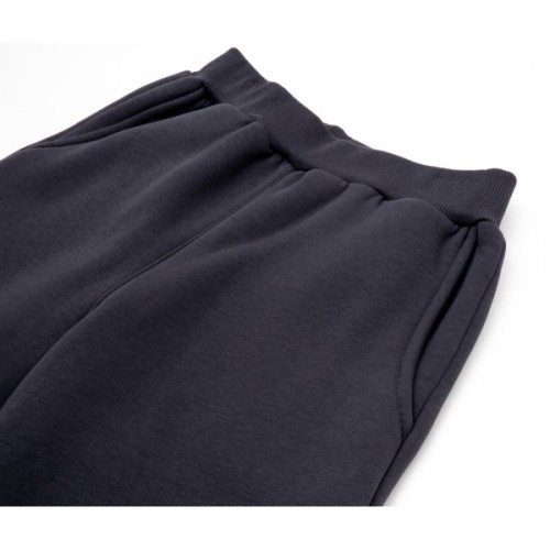 Спортивний костюм дитячий Smile на флісі (4225-128B-gray)