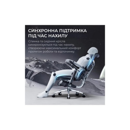 Офісне крісло Sihoo DORO S300 Mesh Dark Grey (S300-M201)