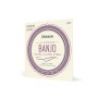 Струни для гітари D'Addario Banjo Nickel Plated Steel Custom Medium (11-22) (EJ57)