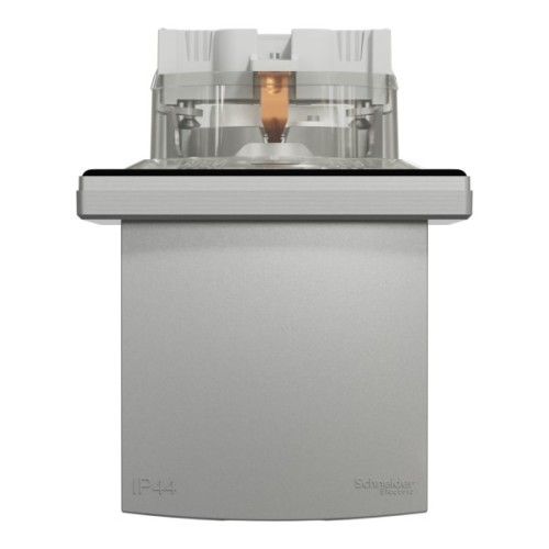 Розетка Schneider Electric ASFORA з кришкою IP44, алюміній (EPH3100361)