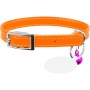 Нашийник для тварин WAUDOG Glamour з QR паспортом Д 17-20 см помаранчевий (32754)