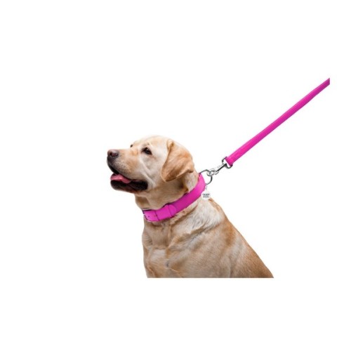 Повідець для собак WAUDOG Glamour шкіряний M-XXL рожевий (33767)
