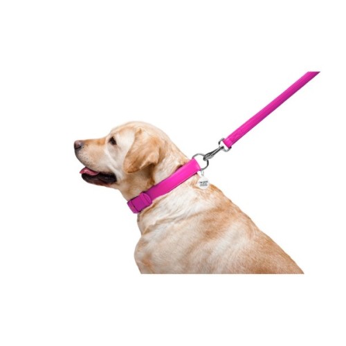 Повідець для собак WAUDOG Glamour шкіряний M-XXL рожевий (33767)