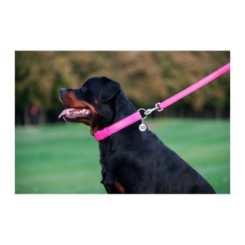 Повідець для собак WAUDOG Glamour шкіряний M-XXL рожевий (33767)