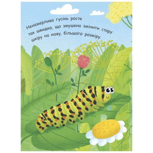 Книга Як народжується метелик? Моя перша енциклопедія - Інна Конопленко Ранок (9789667488352)