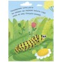Книга Як народжується метелик? Моя перша енциклопедія - Інна Конопленко Ранок (9789667488352)