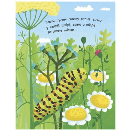 Книга Як народжується метелик? Моя перша енциклопедія - Інна Конопленко Ранок (9789667488352)