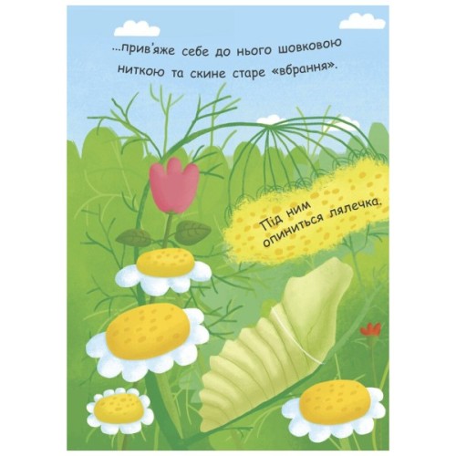 Книга Як народжується метелик? Моя перша енциклопедія - Інна Конопленко Ранок (9789667488352)