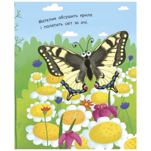 Книга Як народжується метелик? Моя перша енциклопедія - Інна Конопленко Ранок (9789667488352)