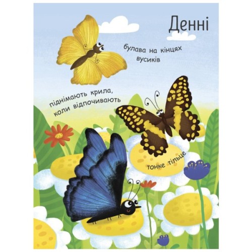 Книга Як народжується метелик? Моя перша енциклопедія - Інна Конопленко Ранок (9789667488352)