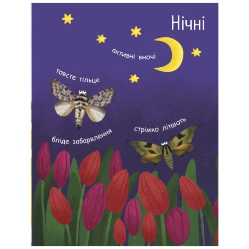 Книга Як народжується метелик? Моя перша енциклопедія - Інна Конопленко Ранок (9789667488352)