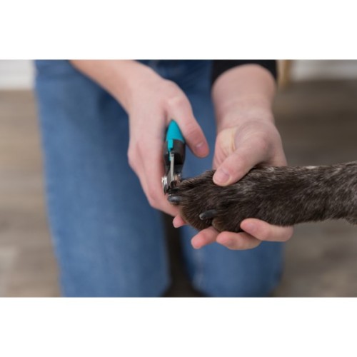 Кігтеріз для тварин Trixie Luxe для кішок і собак 16 см (4011905023687)