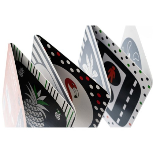 Книга Ростунчики. Контрастна книжка для немовляти Ранок (9789667510657)