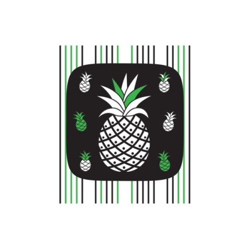 Книга Ростунчики. Контрастна книжка для немовляти Ранок (9789667510657)