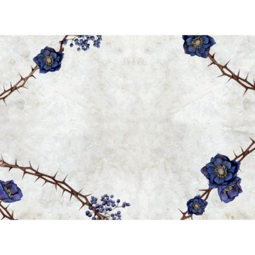 Книга Сага сестер-відьом. Сестра зірок - Мара Вульф Readberry (9786170986962)