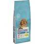 Сухий корм для собак Purina Dog Chow Puppy Lamb зі смаком ягняти 14 кг (7613034487872)