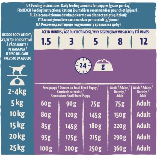 Сухий корм для собак Purina Dog Chow Puppy Lamb зі смаком ягняти 14 кг (7613034487872)