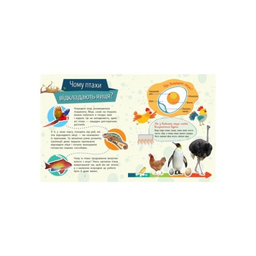 Книга Тварини. Чомусики - Г.К. Булгакова Ранок (9786170937810)