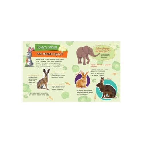 Книга Тварини. Чомусики - Г.К. Булгакова Ранок (9786170937810)