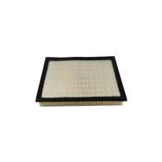 Повітряний фільтр для автомобіля Champion CAF100666P