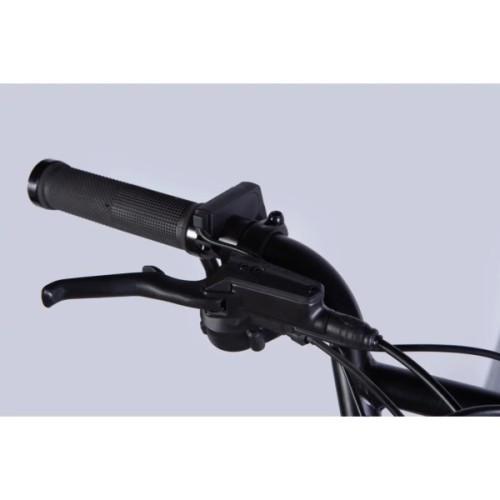 Електровелосипед Dorozhnik 20" ADAMANT HDD рама-18,5" 48B 17.5А*г 750Вт 2026 срiблястий (ELB-D-20-078)