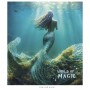 Зошит Школярик Star World of Magic 60 аркушів клітинка (060-3431K)