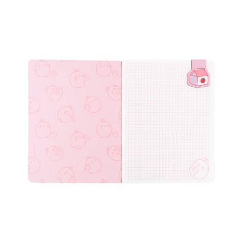 Блокнот Kite з магнітною закладкою Molang А5, 60 аркушів, клітинка (ML25-192)