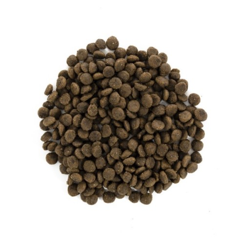 Сухий корм для собак Brit Care GF Mini Puppy Lamb 7 кг (8595602520152)