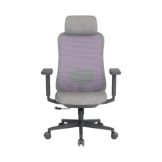 Офісне крісло OfficePro Wave OC599-B-DG-DG (OC599-B-DG-DG)