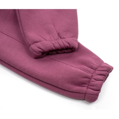 Штани дитячі Joi флісові (BE-801-86G-violet)
