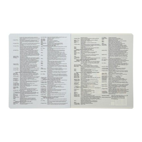 Зошит ZiBi предметний CUTE CAT, 36 аркушів, клітинка, історія (ZB.1731-11)