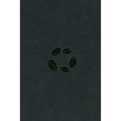 Книга Букова земля - Марія Матіос А-ба-ба-га-ла-ма-га (9786175851791)