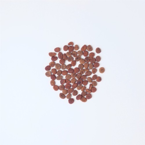 Сухий корм для кішок Carnilove True Fresh Cat Chicken 4.8 кг (8595602561490)